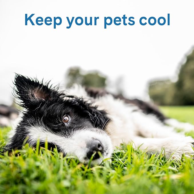 The Green Pet Shop Cool Pet Pad - Medium, Latte- Self-Cooling, Pressure Activated Mat for Dogs & Cats from 21-45 lbs - Non-Toxic Gel, No Water Needed