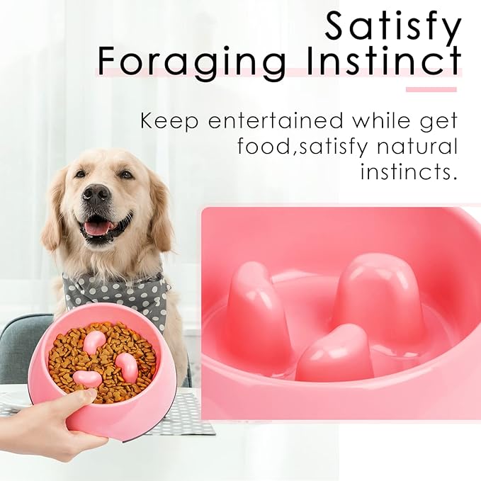 SUPERDESIGN Slow Feeder Dog Bowl 1/2 Cup for Small Medium Breed - Anti-Gulping Healthy Eating Interactive Bloat Stop Alternative Non-Slip Puzzle Cat Food Bowl, Rose Red