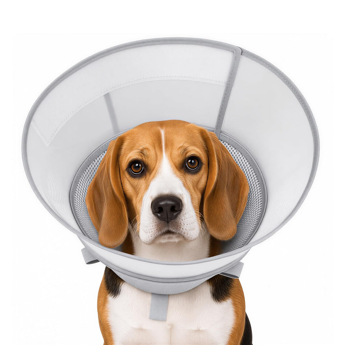 Soft Dog Cone Collar for Medium Dogs, Adjustable Recovery - Image 1