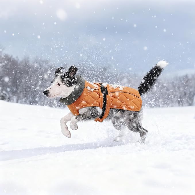 Dog Winter Coat, Adjustable Quilted Dog Snow Jacket with Fleece Lining, Water Resistant Pet Apparel for Cold Weather, Warm Large Doggie Coat with Leash Hole and Reflective Strip, NewOrange L