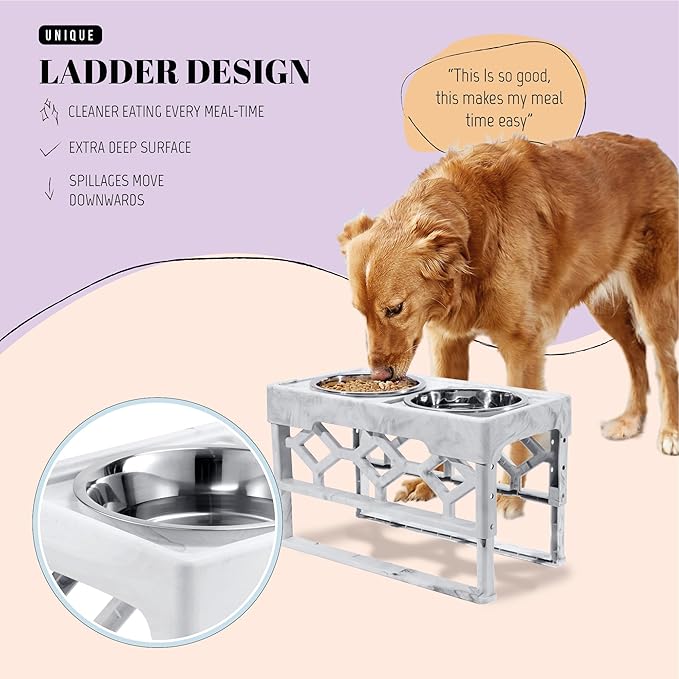 AVERYDAY Elevated Dog Bowls, 4 Height Adjustable Stand for Medium and Large Dogs, Raised Dog Feeder Holder with 2 Stainless Steel Food and Water Bowls, Anti-Slip Base Tall Feeding Station