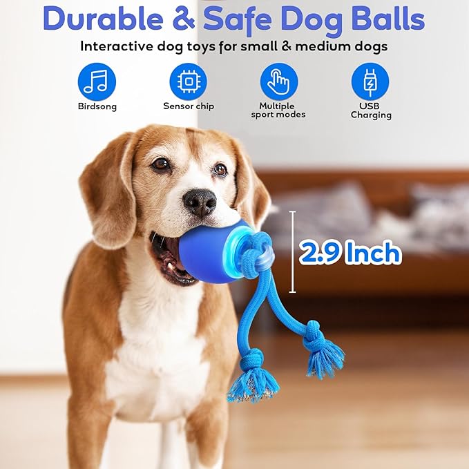 Interactive Dog Toys to Keep Them Chase Busy Buddy Doggie Ball for Small Puppy(Blue)