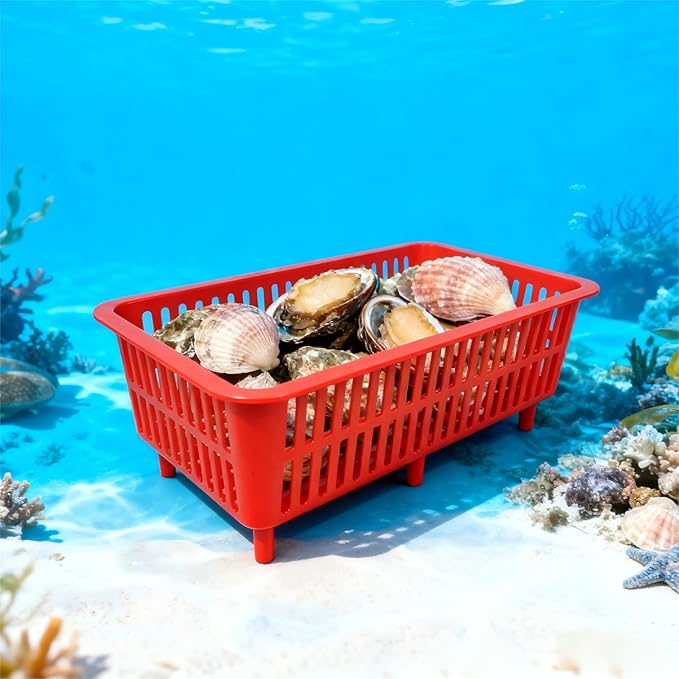 YDB Storage Plastic Drain Basket with Feet for Sorting Live Fresh Shellfish Oyster Abalone Scallop Geoduck Clams Mussels or Garden Harvest 4PCS (White+White+Blue+Red)