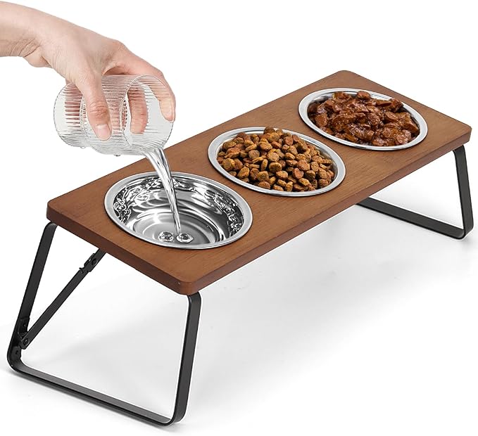 Elevated Cat Bowls, 10° Tilted Stand Anti Vomiting Raise Cat Bowl for Food and Water, 3 Stainless Steel Bowls for Indoor Cats, Kitten and Puppy