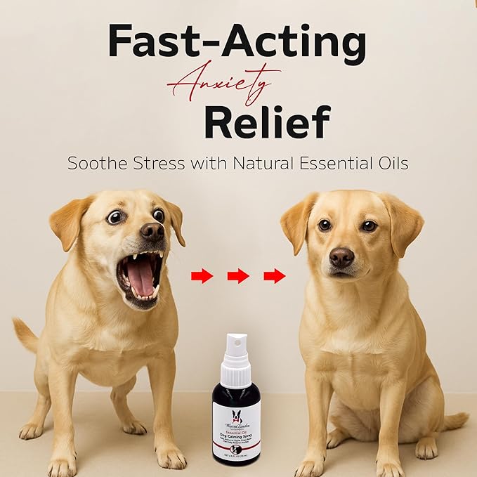 Warren London Calming Aromatherapy Spray for Dogs – 2.5 oz Essential-Oil Blend (Lavender, Vetiver, Clary Sage & Sweet Orange) | Fast-Acting Anxiety Relief for Fireworks, Storms, Grooming | Made in USA