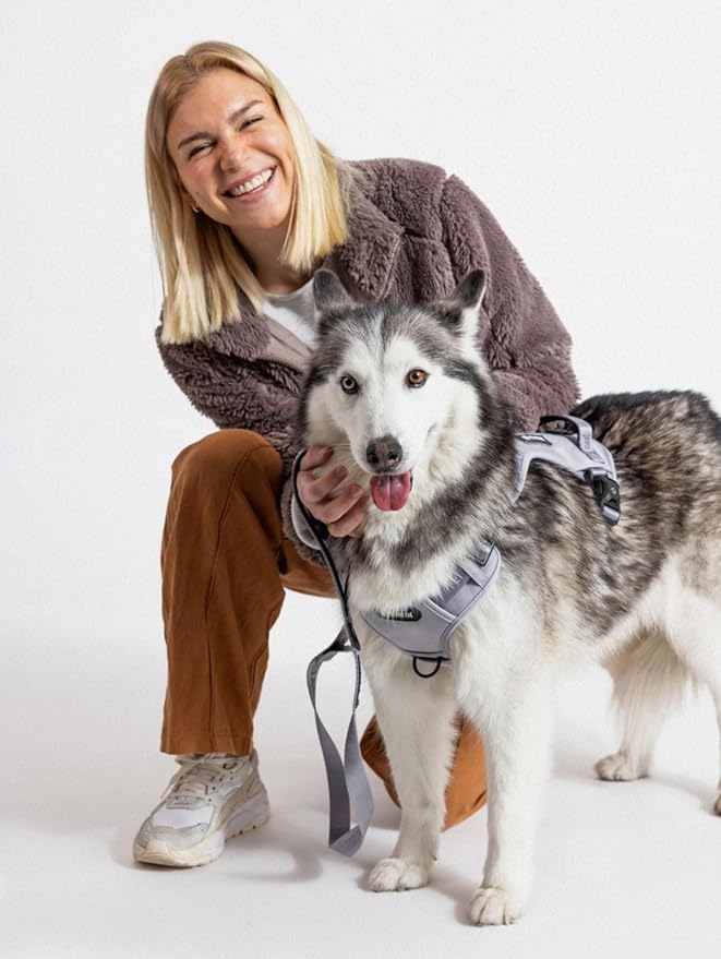 2025 New Edition, Fei & Eve Classic Dog Harness - Quick-Release Buckles | 3-Point No-Pull Control | Heavy-Duty 900D Nylon | Dual Safety Handles | Breathable Mesh | Adjustable Fit | Medium,Gray