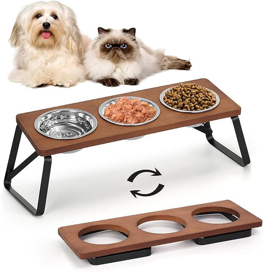 Elevated Cat Bowls, 10° Tilted Stand Anti Vomiting Raise Cat Bowl for Food and Water, 3 Stainless Steel Bowls for Indoor Cats, Kitten and Puppy
