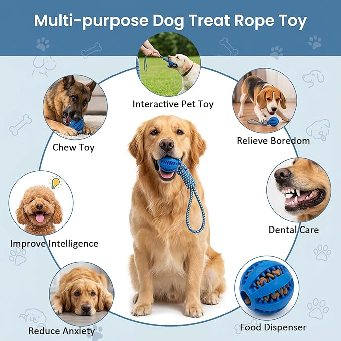 4PCS Slow Feeder Dog Bowl Set with Mat & Feeding Ball, Slow Feeding Dog Bowl to Slow Eating, Puppy Slow Feeder Bowl for Small Dogs, Dog Bowls with Slow Feeder, Easy Clean