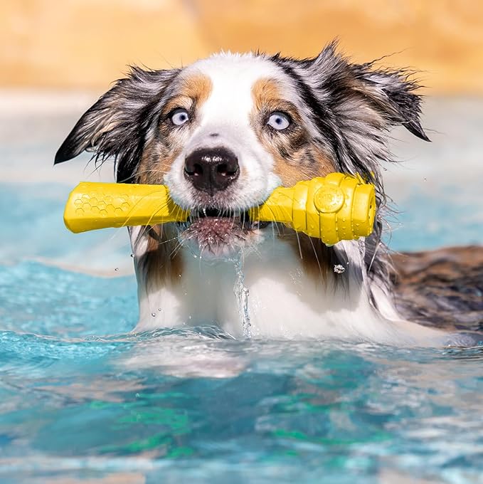 PROJECT HIVE ·PET COMPANY· - Hive Dog Fetch Stick for Large Breeds - Dog Stick Toy - Floats in Water - Treat Dispenser Toy - Durable and Tough - Made in The USA