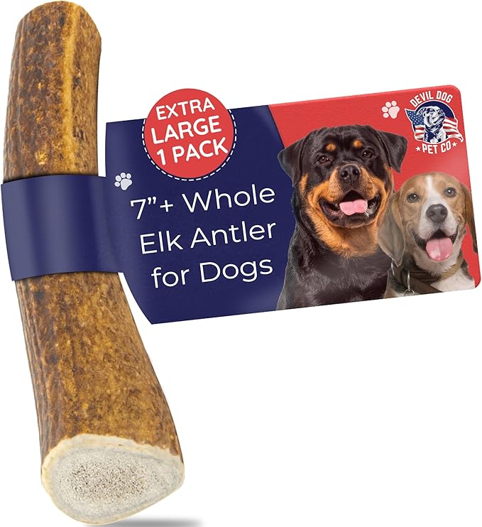 Devil Dog Pet Co - Elk Antler for Dogs Extra Large - Long Lasting Natural Dog Chew for Power Chewers & Large Breeds - Naturally Shed Grade A Rocky Mountain Elk, Anxiety & Boredom Relief (55-75 lbs)