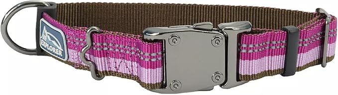 Coastal Pet K9 Explorer Reflective Adjustable Dog Collar - Comfortable Collar for The Outdoors - Durable, Lightweight Accessory with Side-Release Buckle - Orchid, 5/8" x 8-12"