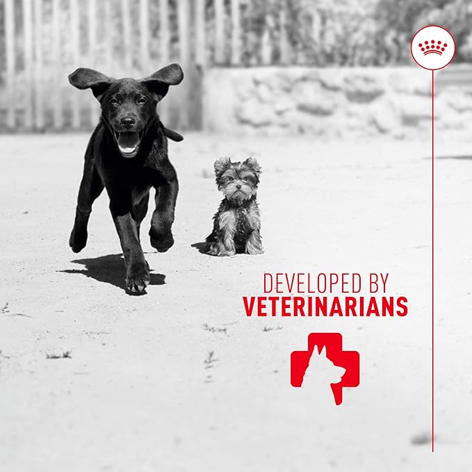Royal Canin Puppy Supplement Soft Chews for Immunity & Digestion, 60 Count (Pack of 2)