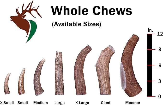 Monster Whole Single Pack (for 90+ lb Dogs) Premium Grade Elk Antler for Dogs (1 Piece) Sourced in The USA