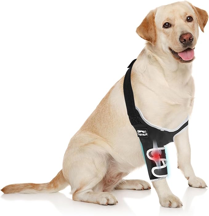 Dog Elbow Brace for Elbow and Shoulder Support, Elbow Hygroma Dysplasia Dislocation, Reflective Dog Recovery Suit, Helps Wound Healing, Prevents Licking, S