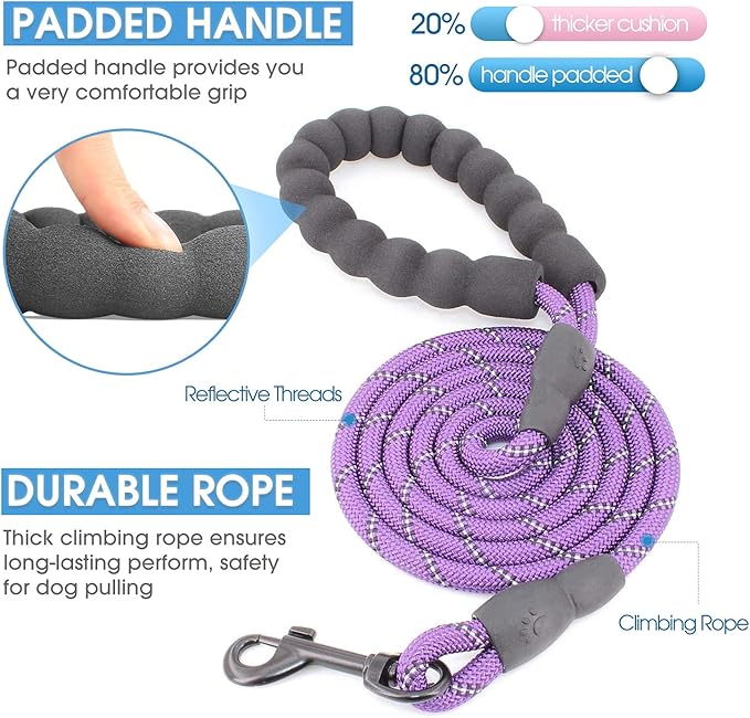 BAAPET 2/4/5/6 FT Dog Leash with Comfortable Padded Handle and Highly Reflective Threads for Small Medium and Large Dogs (5FT-1/3'', Purple)