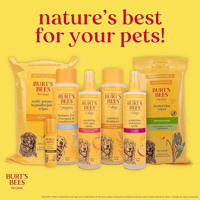 Burt's Bees for Pets Hypoallergenic Dog Shampoo with Shea Butter and Honey, Gentle Fragrance Free Shampoo for Sensitive Dogs with 95% Natural Origin Skin and Coat Formula, 16 Fl Oz