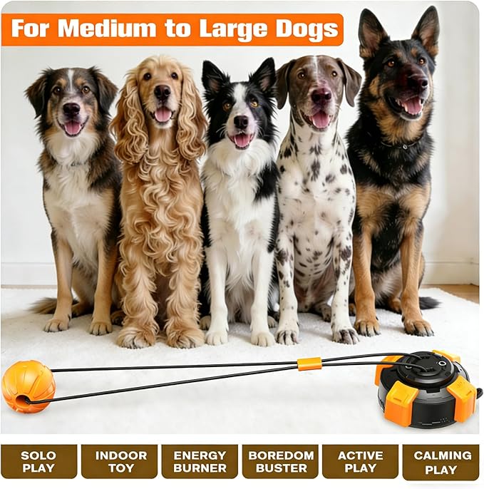 Frozen Dog Treat Toy & Suction Cup Dog Toy for Large & Medium Dogs- Complete Dog Toy Set with Rope Toy and Puzzle Toy for Aggressive Chewers, Interactive Chew Toys for Mental Stimulation