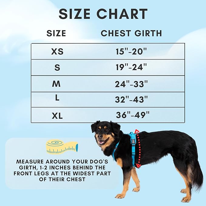 ShawnCo Basecamp Dog Harness, No-Pull Pet Vest with 3 Leash Clips, Padded, Reflective, Lightweight and Adjustable Harness with Handle for Small, Medium and Large Dogs (Olive Green, S)