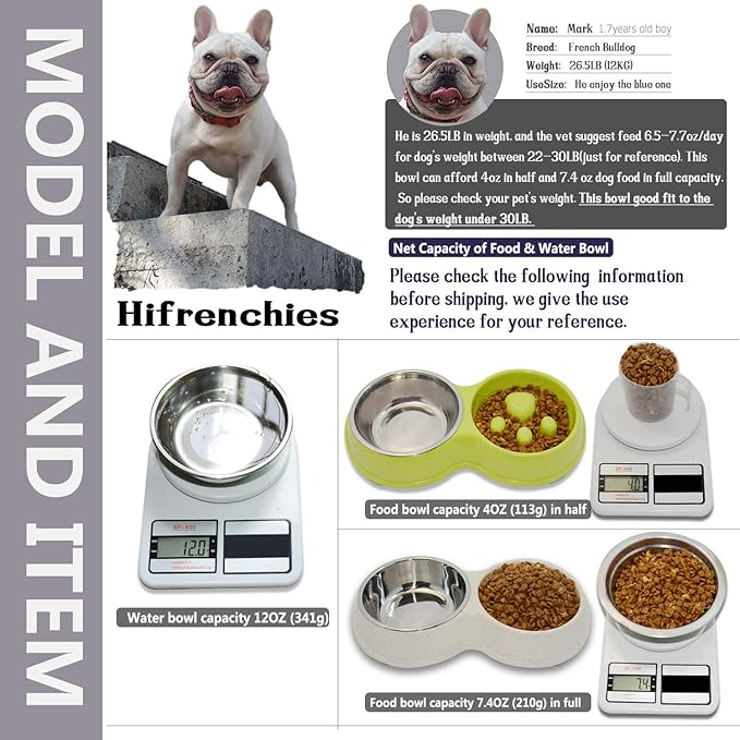 Dog Slow Eating & Drinking Bowl,Stainless Steel Interactive Slow Feed Dog Bowl for French Bulldog,Slow Down Eating Eco-Friendly pet Bowl for Frenchie (Green)