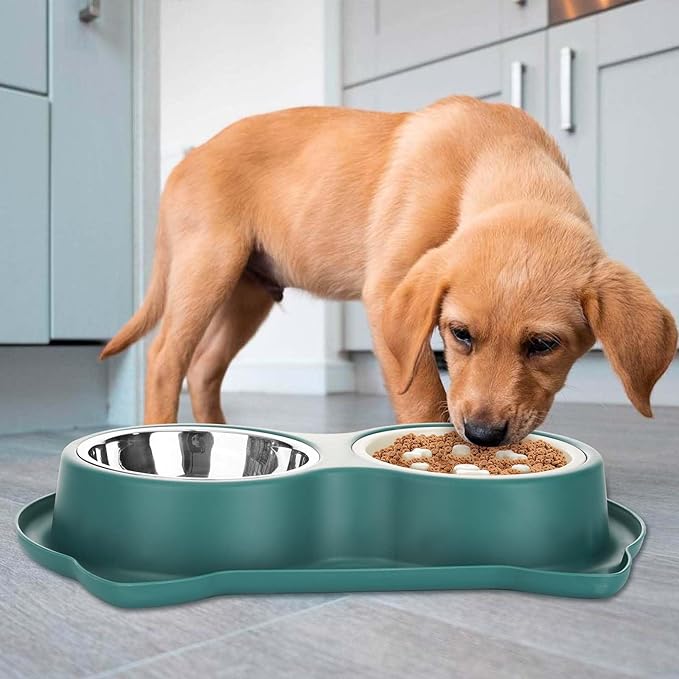 Dog Slow Feeder Dog Water and Food Bowls Stainless Steel Bowls Non Slip Anti Skid Pet Puppys and Kitties Dishes for Small Medium