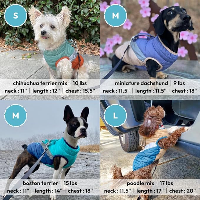 Gooby Mountaineer Dog Jacket - Quantum Blue, Small - Warm Zip Up Coat with Lift Handle and Dual O Ring Leash Water Resistant for Small to Medium Dogs