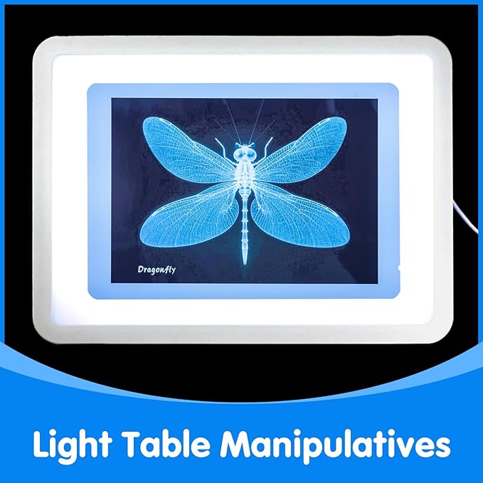 Insect Xrays – Bug Science Kit - Bug Detectives for Kids, Light Table Accessories, STEM Learning Insect X-Ray Set