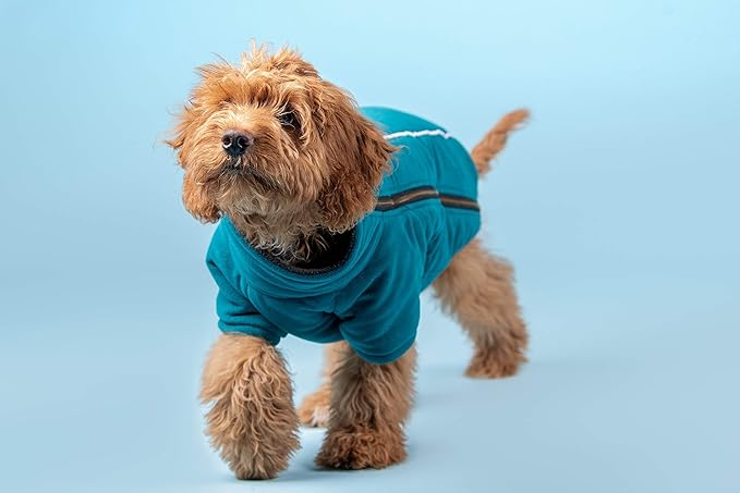 BoxDog Polar Fleece Warm Dog Jacket (X-Small)