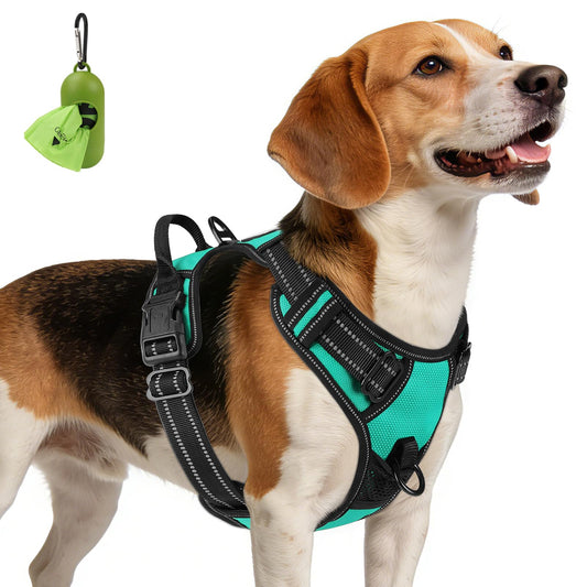 Joytale No Pull Dog Harness Medium Sized Dog, Front Clip, Teal - Image 1