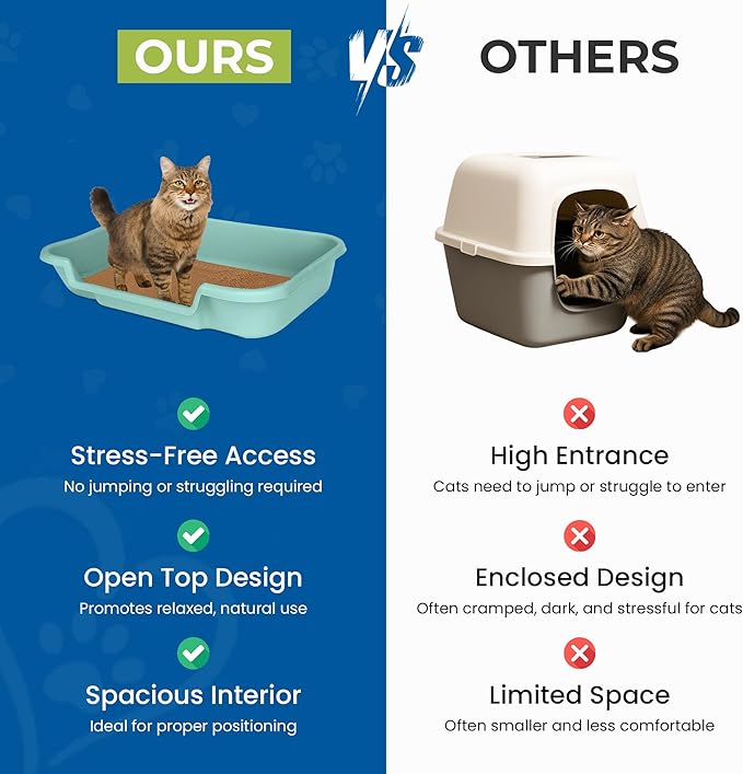 KittyGoHere Senior Cat Litter Box, Large Litter pan, Open Top Low Entrance Kitty Litters Box, Lightweight Low Entry Litter Box, Durable, Made in USA (2 Pack - Apple Green)