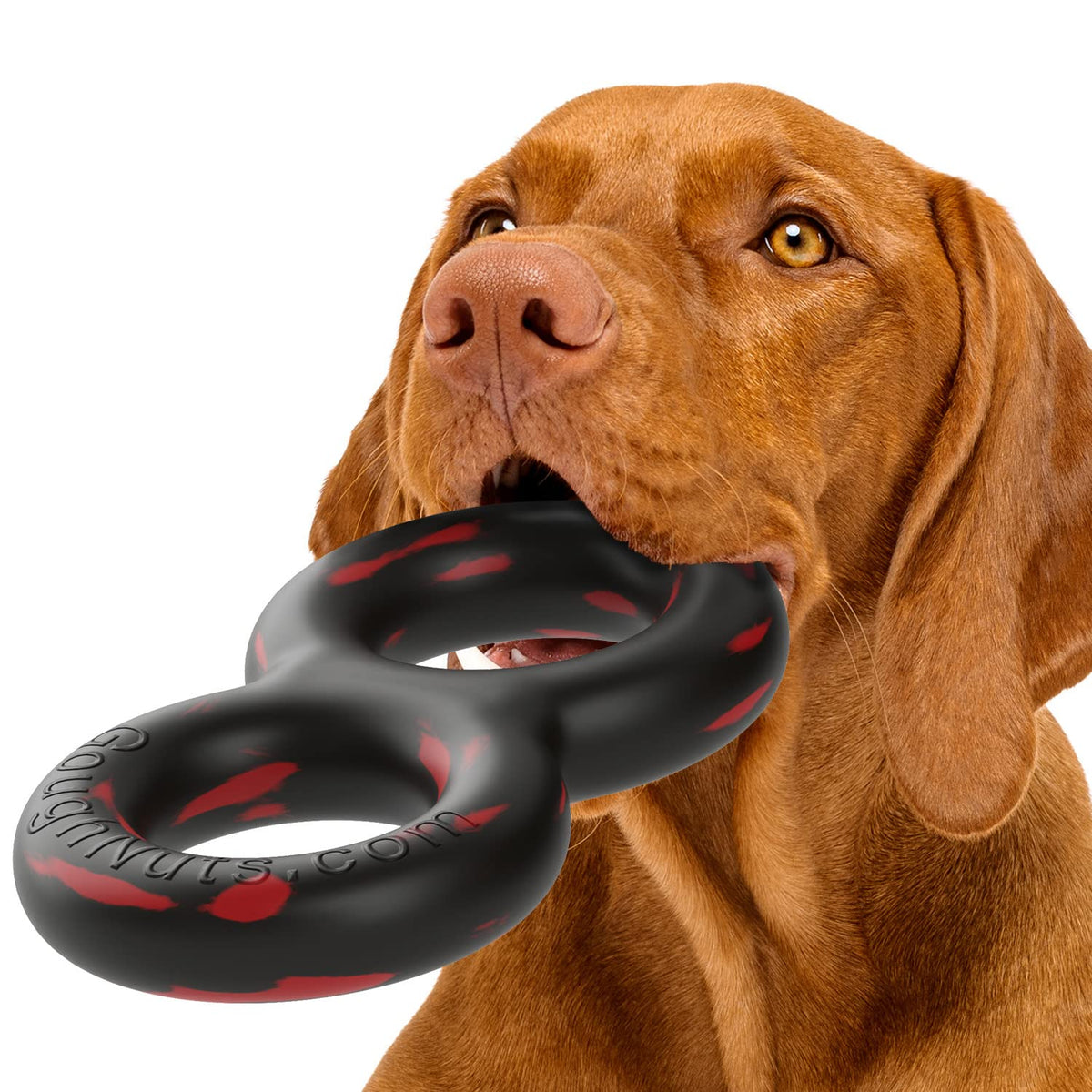 Goughnuts - Dog Toys for Aggressive Chewers - Virtually Indestructible Pull Toy for Medium Breeds Such as Pit Bulls and German Shepherds - Heavy Duty Tug Dog Toy - Black