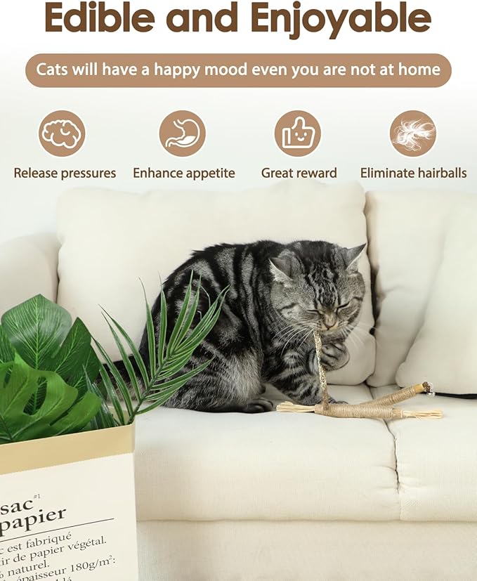 Tocirelo Cat Toys for Indoor Cats & Silvervine Sticks for Cats