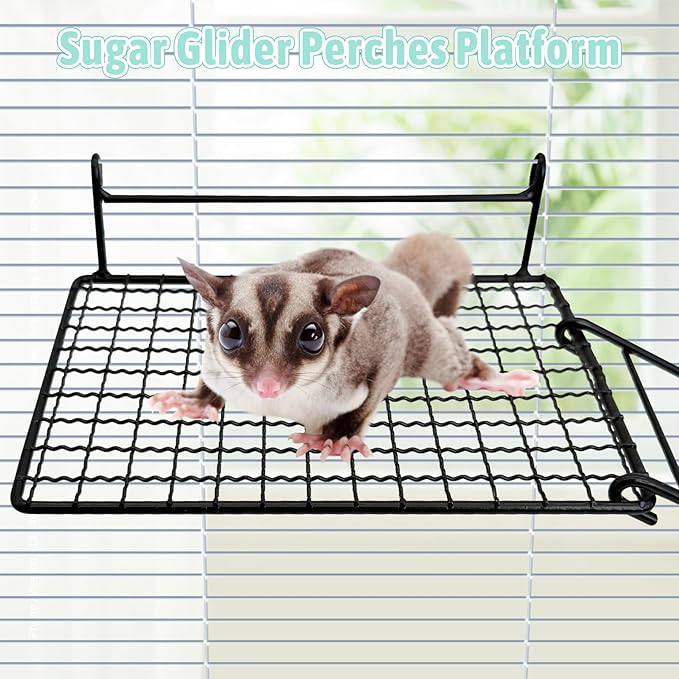 BNOSDM 4 PCS Sugar Glider Toy Stainless Steel Platform Squirrel Perch with Climbing Ladder Small Animals Cage Accessories for Guinea Pig, Chinchillas, Gerbils, Mice, Rats, Mouse