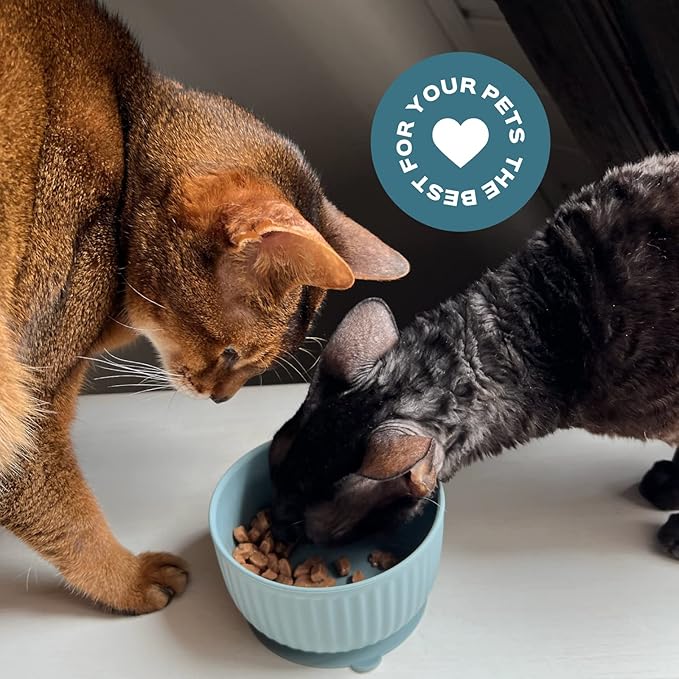 Cat Bowls with Suction Cup 13 Oz — Elevated Silicone Pet Dish with Non-Slip Bottom for Dry Food, Wet Food and Water (Salad)