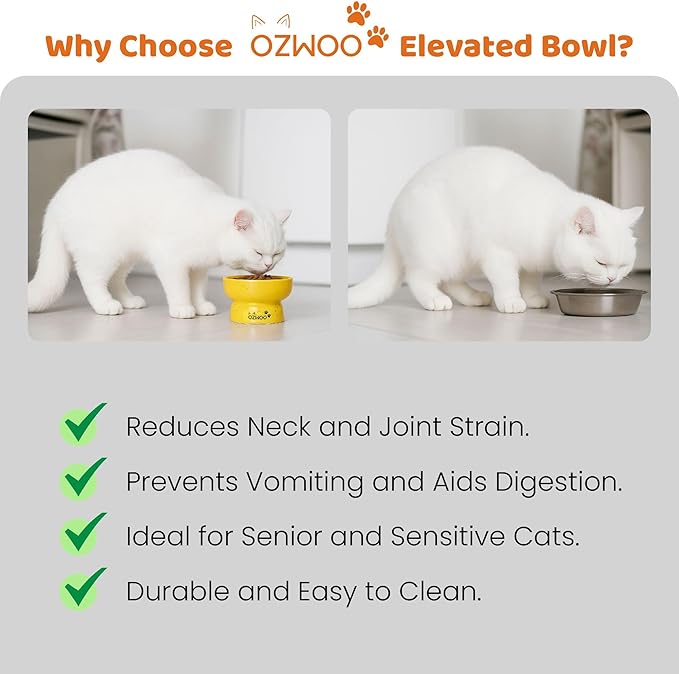 Ceramic Cat Bowls - Elevated cat Bowl, Anti-Vomiting, Whisker Friendly Raised Cat Bowl, Easy to Clean, Non-Slip, Suitable for Small Dogs - Pack of 2 (White-Beige, Orange-Yellow) (White-Beige)