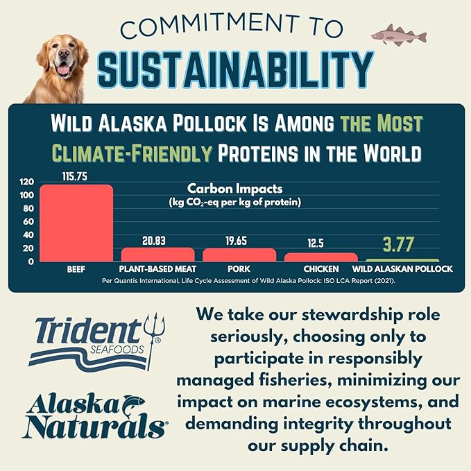 Alaska Naturals Wild Alaskan Fish Oil Supplement for Dogs Skin and Coat with EPA DHA Omega 3 Fatty Acids Sustainable Liquid Food Topper 15.5 oz. Pump