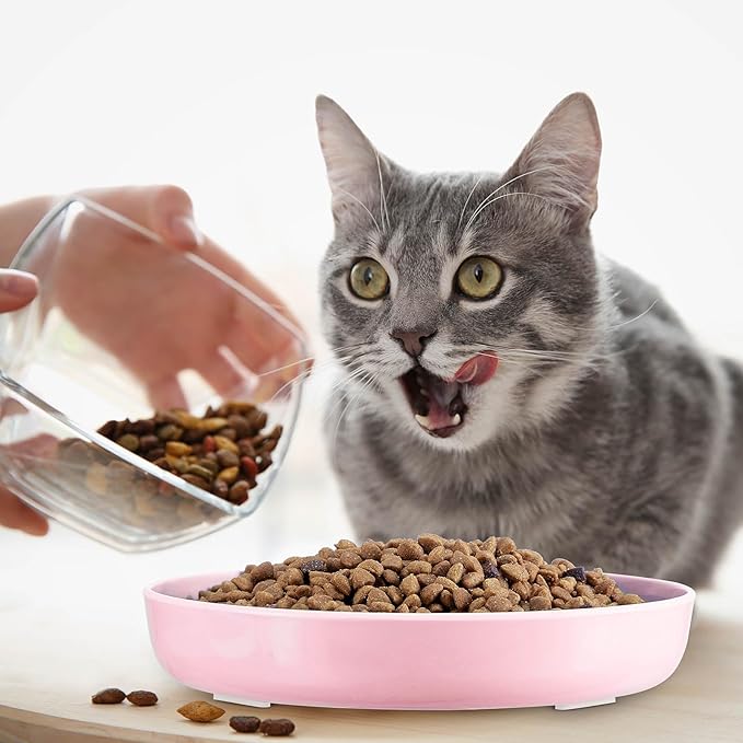 Nitial 2 Pcs Cat Slow Feeder Bowl Fish Pool Design Feeder Dish Fun Interactive Cat Food Bowl Healthy Eating Diet Bowls for Pet Puppy Dogs Dishwasher Safe(White, Pink)