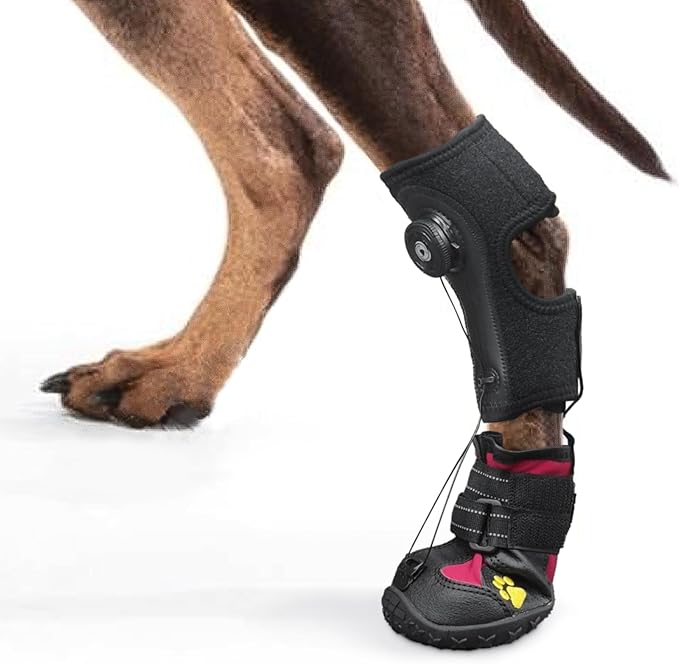 Drop Foot Brace with Reel(No Knuckling Boot Brace) for Dog - Corrective Dog Shoes to Safely Lift Toes for Foot Issues, Arthritis, and improving Walking gait in Dogs(XL)