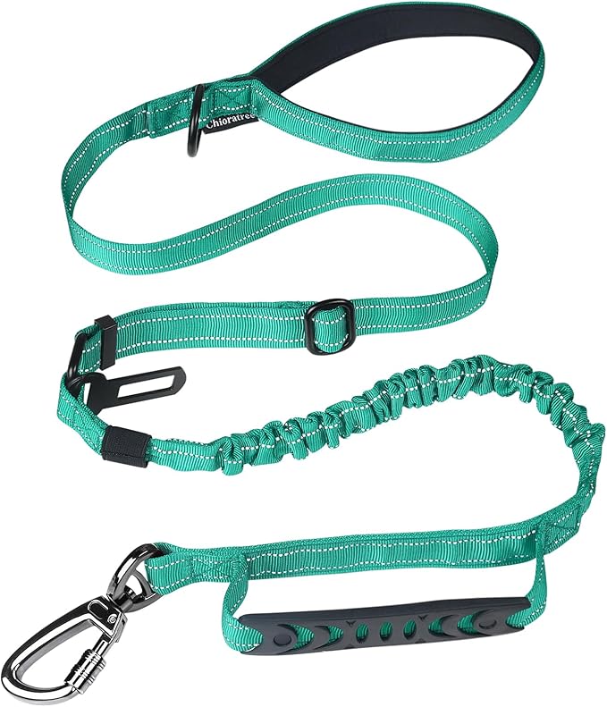 Heavy Duty Dog Leash for Medium Large Dogs That Pull,4-6FT Shock Absorbing Bungee Tactical Dog Leash with Control Padded Handle and Car Seatbelt, Reflective Lead for Walking Training,Teal