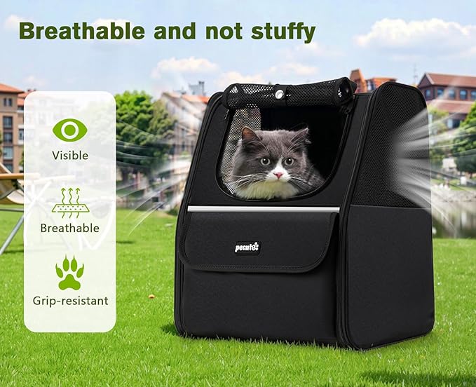 Expandable Cat Backpack Carrier — Ventilated Mesh, Safety Leash, Up to 11lbs (Black)