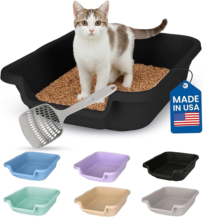 KittyGoHere Senior Cat Litter Box, Small Litter pan with Long-Handle Jumbo Scoop, Open Top Low Entrance Kitty Litters Box, Lightweight Low Entry Litter Box, Durable, Made in USA (Black)