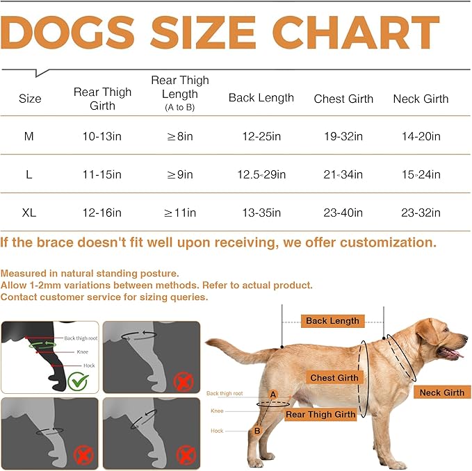 Dog Knee Support for ACL Tear Rehabilitation and Dislocated Patella -Adjustable Leg Support and Sufficient Breathability,Injury Recovery and Balance Assistance-Both Leg-L Size