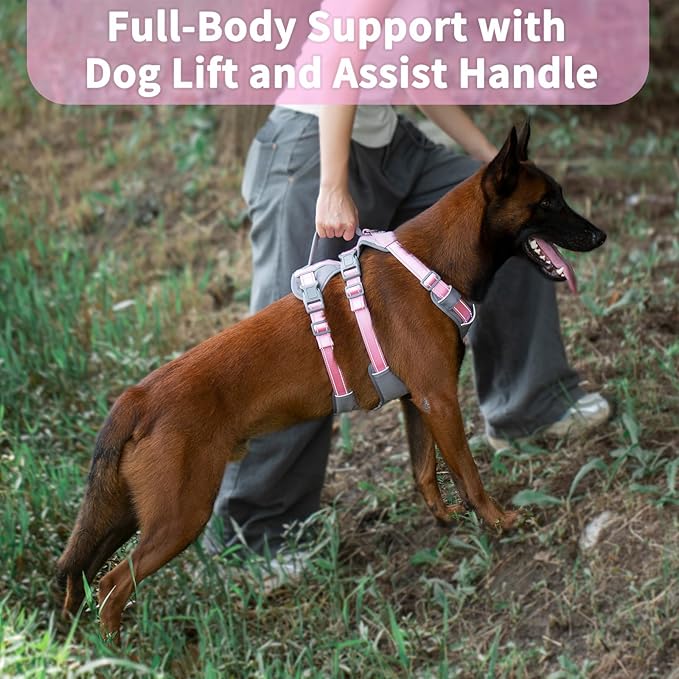 Huntboo Reflective Dog Harness with Handle, Escape Proof, No Slip, Breathable, Lightweight, Adjustable Lift Harness for Small, Medium, and Large Dogs Walking, Training, and Running Gear(Light Pink,XL)