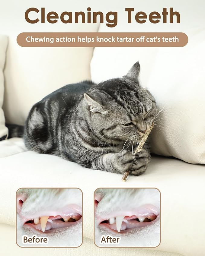 Tocirelo Interactive Cat Toys & Silvervine Sticks for Cats