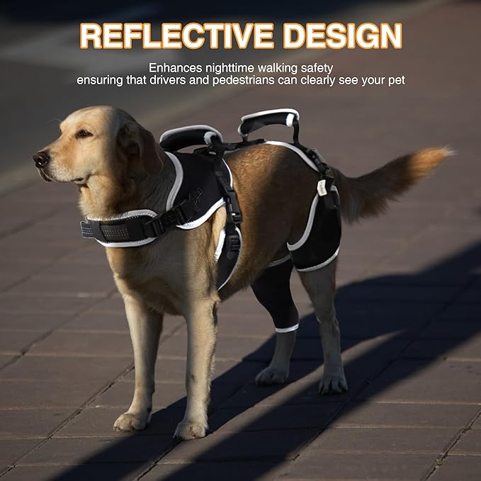Dog Knee Support for ACL Tear Rehabilitation and Dislocated Patella -Adjustable Leg Support and Sufficient Breathability,Injury Recovery and Balance Assistance-Right Leg-XL Size
