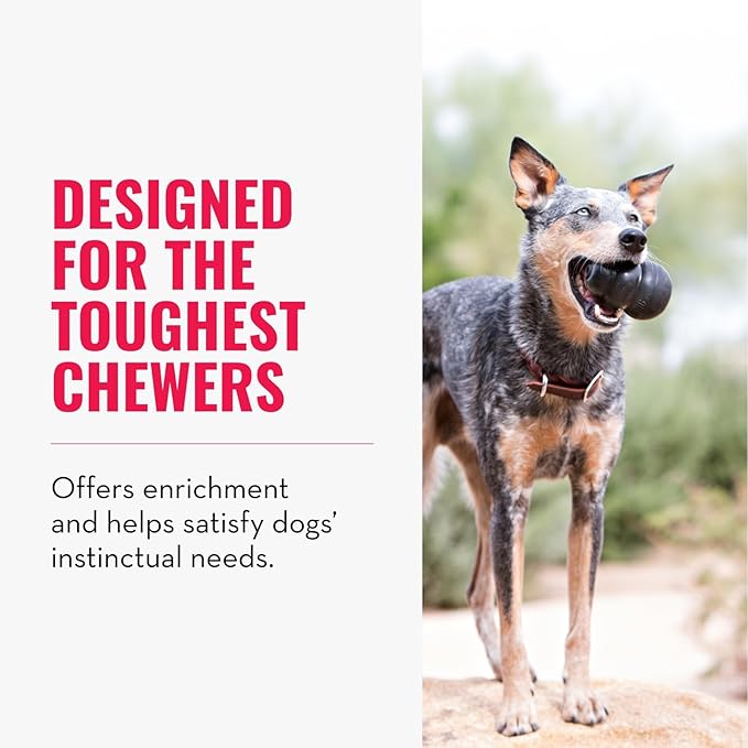 KONG Extreme Dog Toy - Fetch & Chew Toy - Treat-Filling Capabilities & Erratic Bounce for Extended Play Time Most Durable Natural Rubber Material - for Power Chewers - for XX-Large Dogs