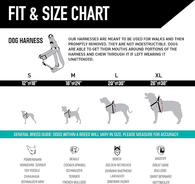 Wolfgang Heavy Duty Adjustable Dog Harness, Pull-Tested to Over 800 lbs for Walking & Training, LosMuertos Print, Extra Large