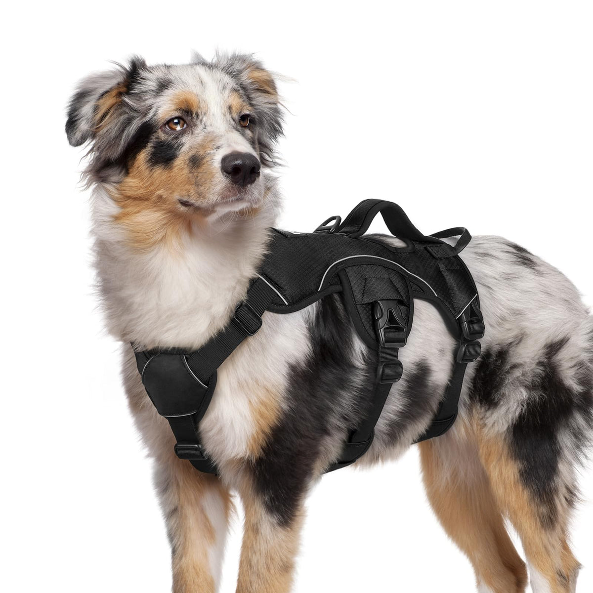 rabbitgoo Escape Proof Dog Harness for Medium, No Pull - Image 1