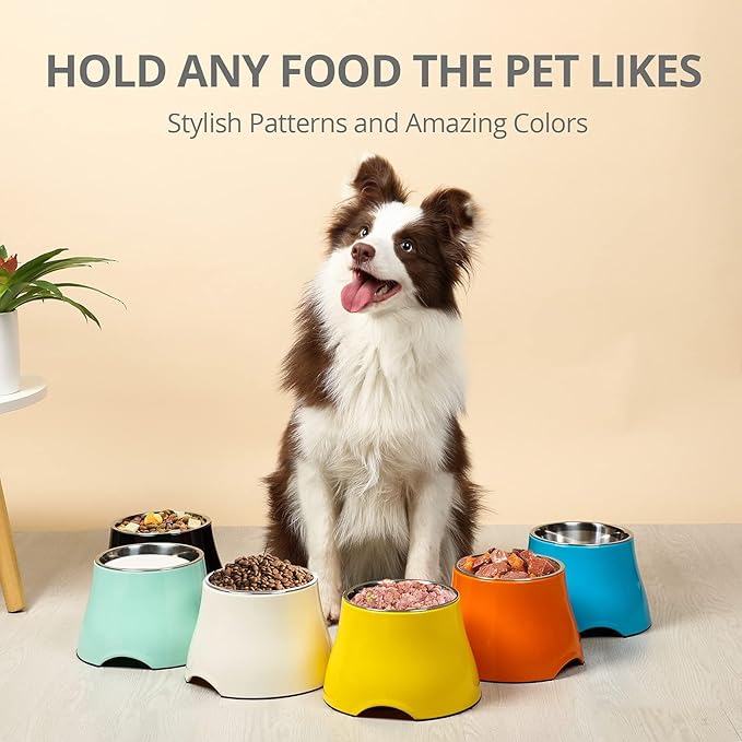 Raised Dog Bowls, Elevated Dog Bowls for Wearing Cone,Cocker Spaniel Long Ears,Neck Stress-Free,Non-Slip Stianless Steel Bowl for Large Dogs
