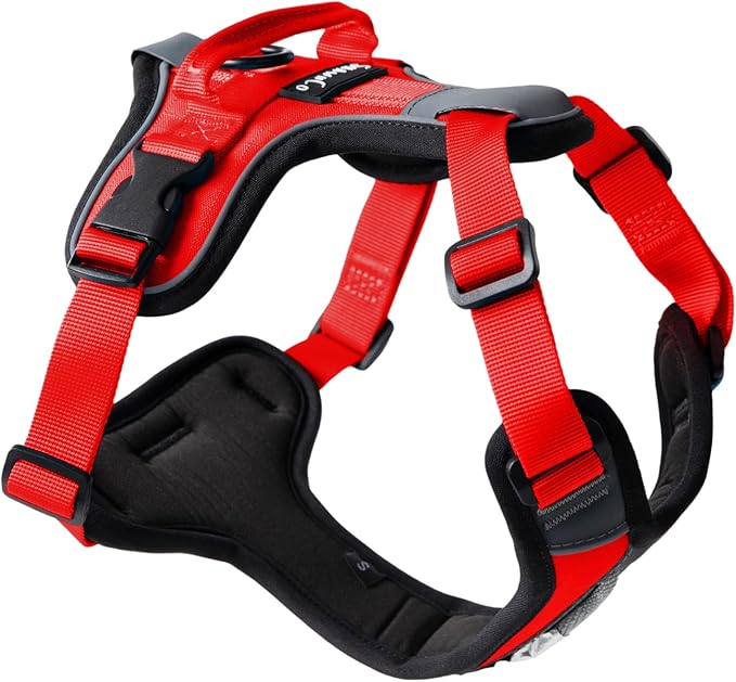 ShawnCo Basecamp Dog Harness, No-Pull Pet Vest with 3 Leash Clips, Padded, Reflective, Lightweight and Adjustable Harness with Handle for Small, Medium and Large Dogs (Mustang Red, S)