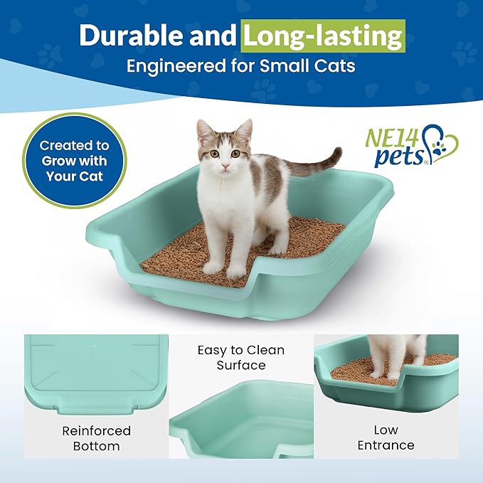 KittyGoHere Senior Cat Litter Box, Small litter pan with Long-Handle Jumbo Scoop, Open Top Low Entrance Kitty Litters Box, Lightweight Low Entry Litter Box, Durable, Made in USA (2 Pack - Apple Green)